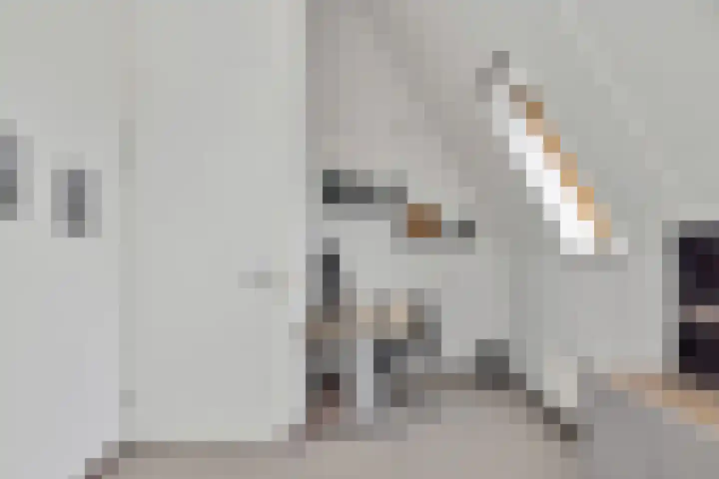Dijkgraaf 174 Zwaag thumbnail 57