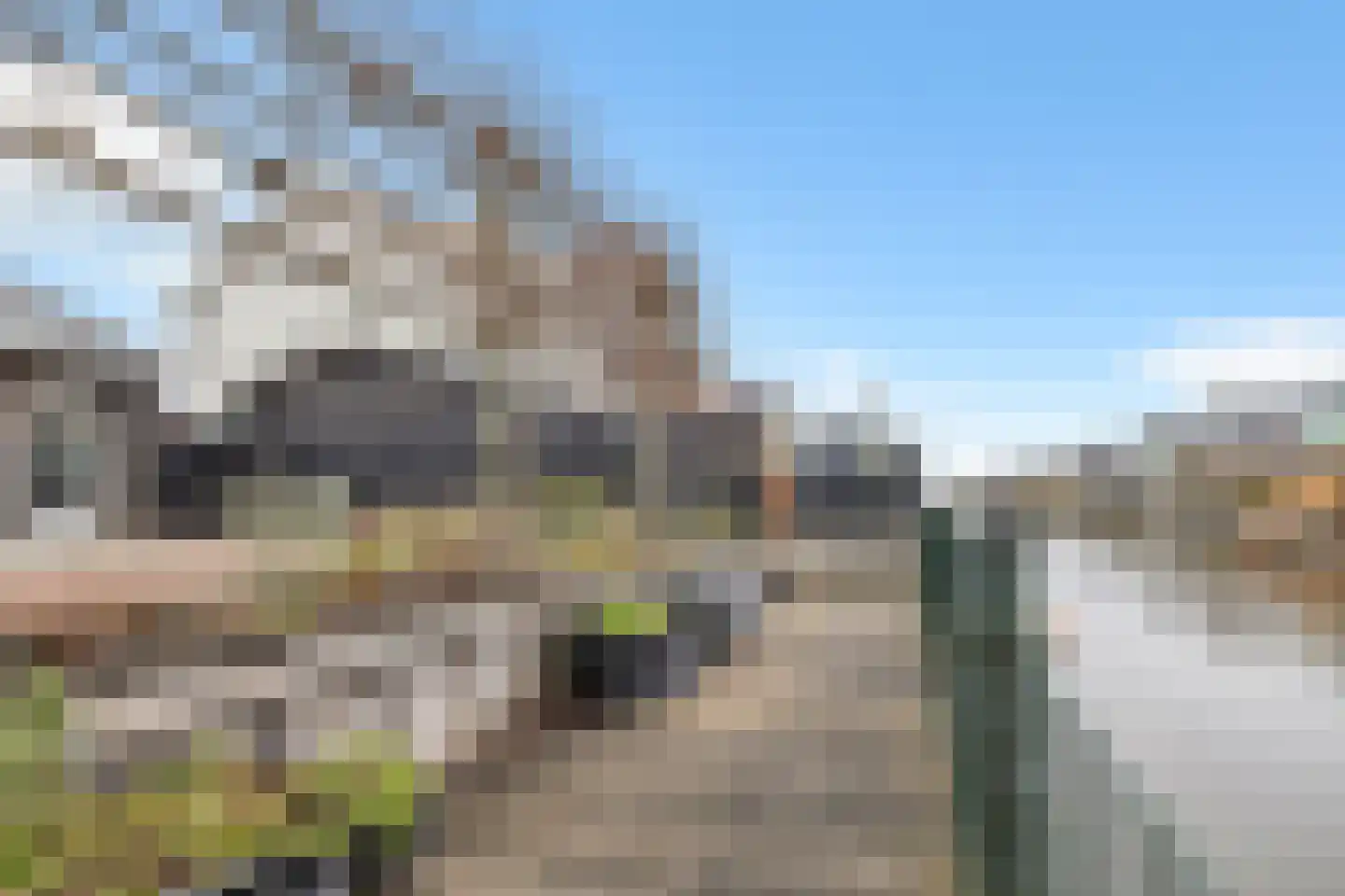 Dijkgraaf 174 Zwaag thumbnail 68