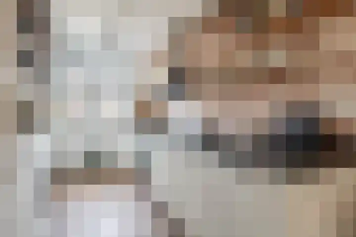 Dijkgraaf 18 Brielle thumbnail 15