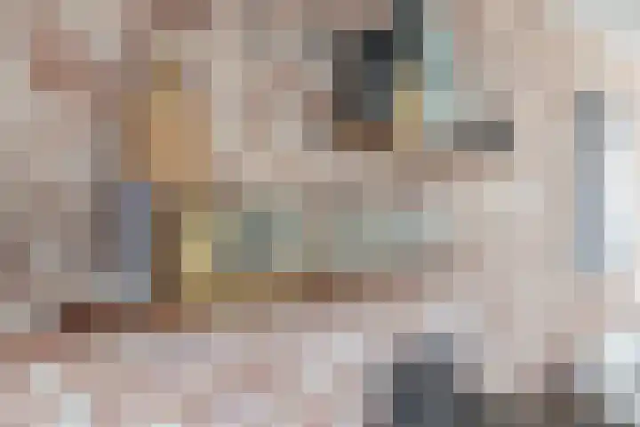 Dijkgraaf 18 Brielle thumbnail 17