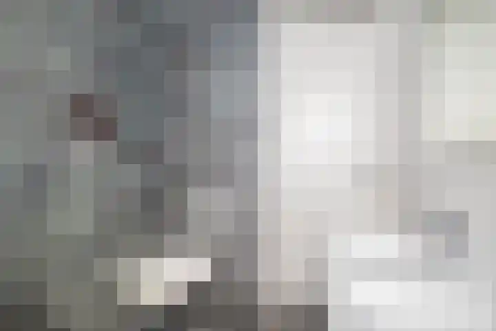Dijkgraaf 18 Brielle thumbnail 27