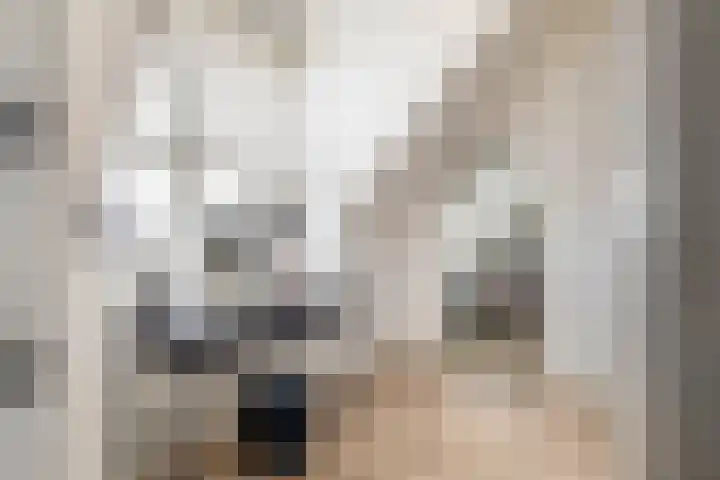 Dijkgraaf 18 Brielle thumbnail 33