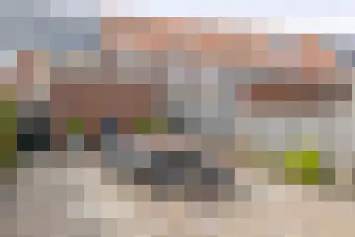 Dijkgraaf 18 Brielle thumbnail 35
