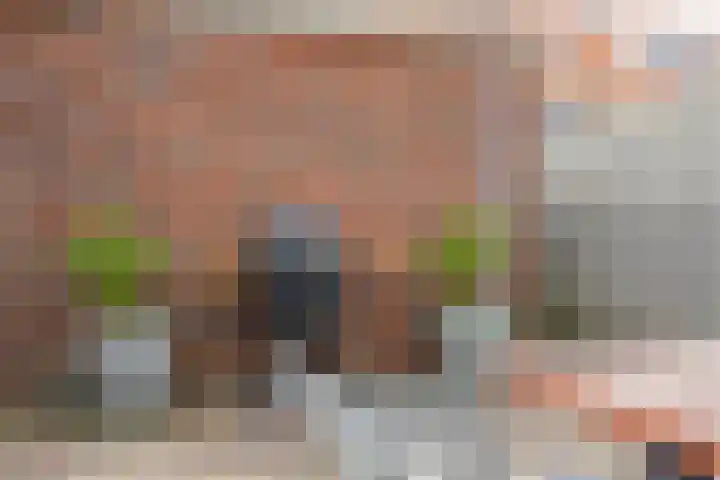 Dijkgraaf 18 Brielle thumbnail 37
