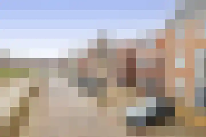 Dijkgraaf 18 Brielle thumbnail 44
