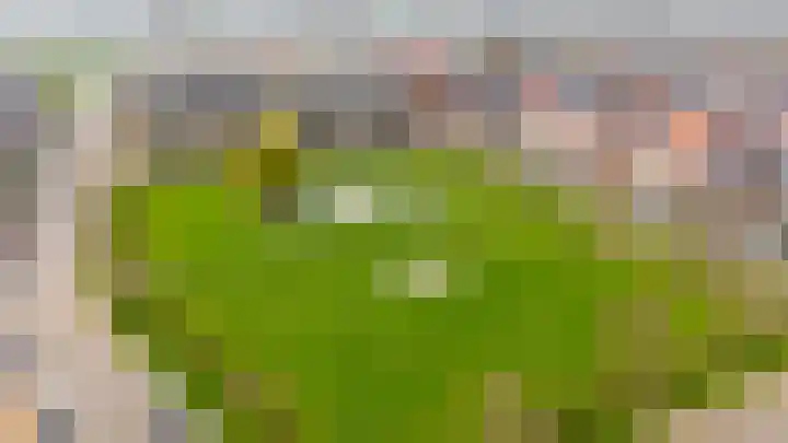 Dijkgraaf 18 Brielle thumbnail 48