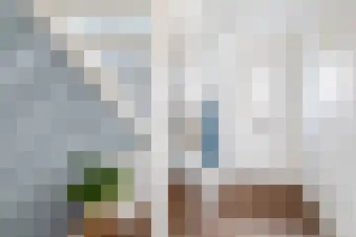 Dijkgraaf 18 Brielle thumbnail 7