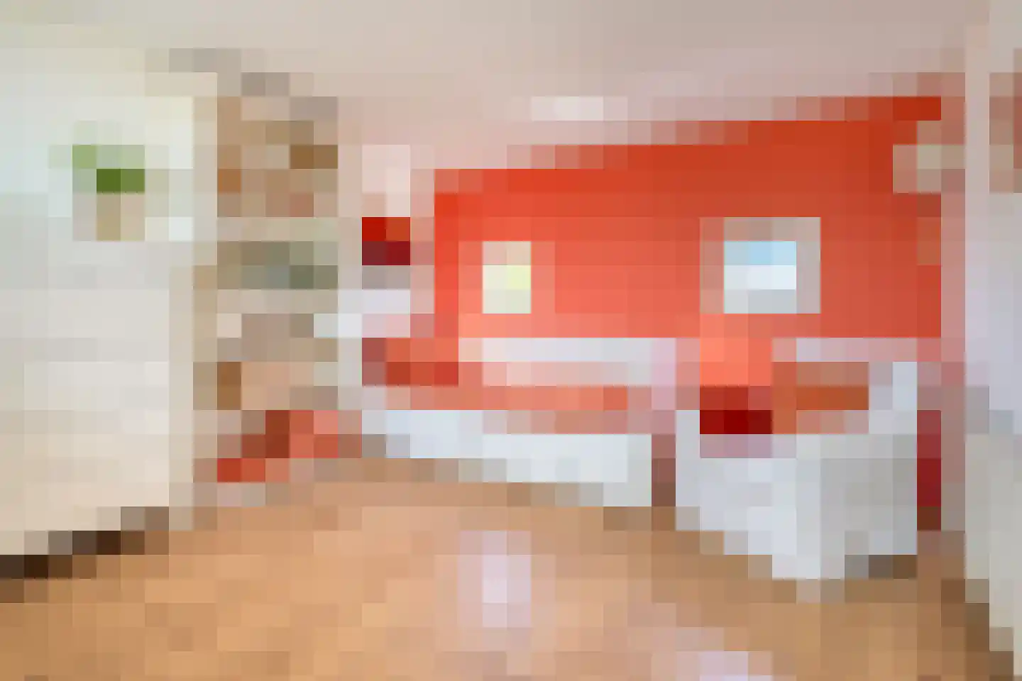 Dijkgraaf 22 Alphen aan den Rijn thumbnail 17