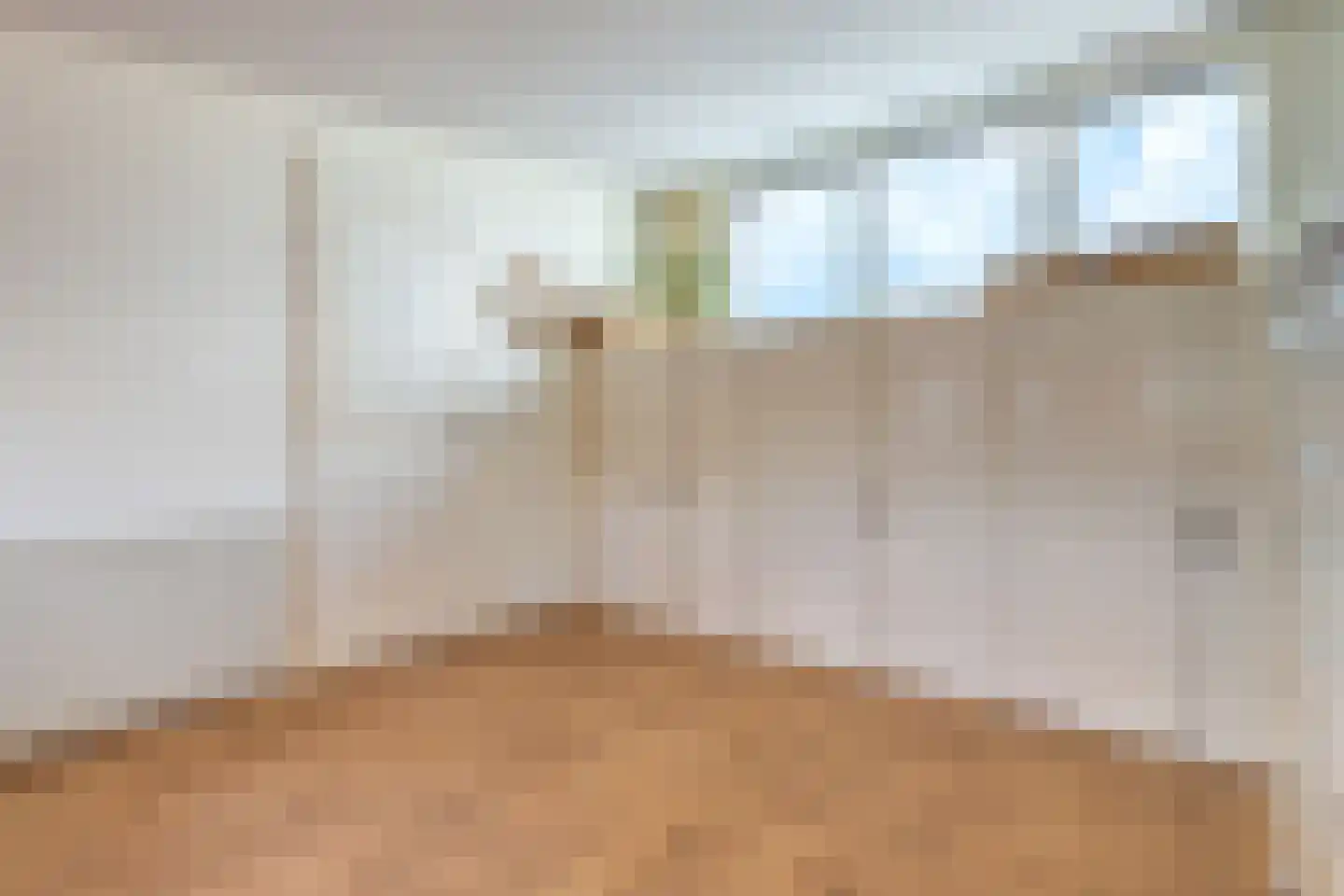 Dijkgraaf 22 Alphen aan den Rijn thumbnail 18