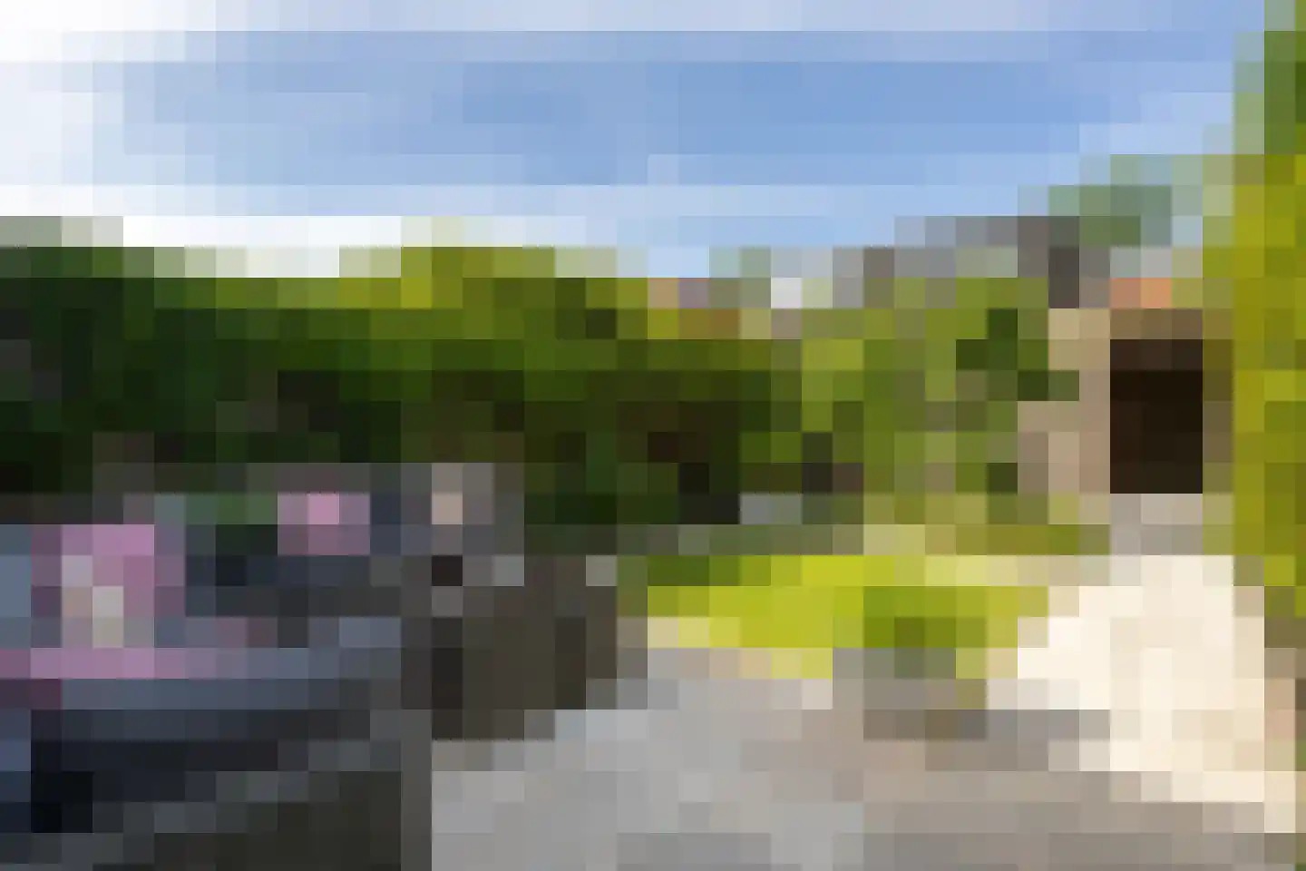 Dijkgraaf 22 Alphen aan den Rijn thumbnail 19