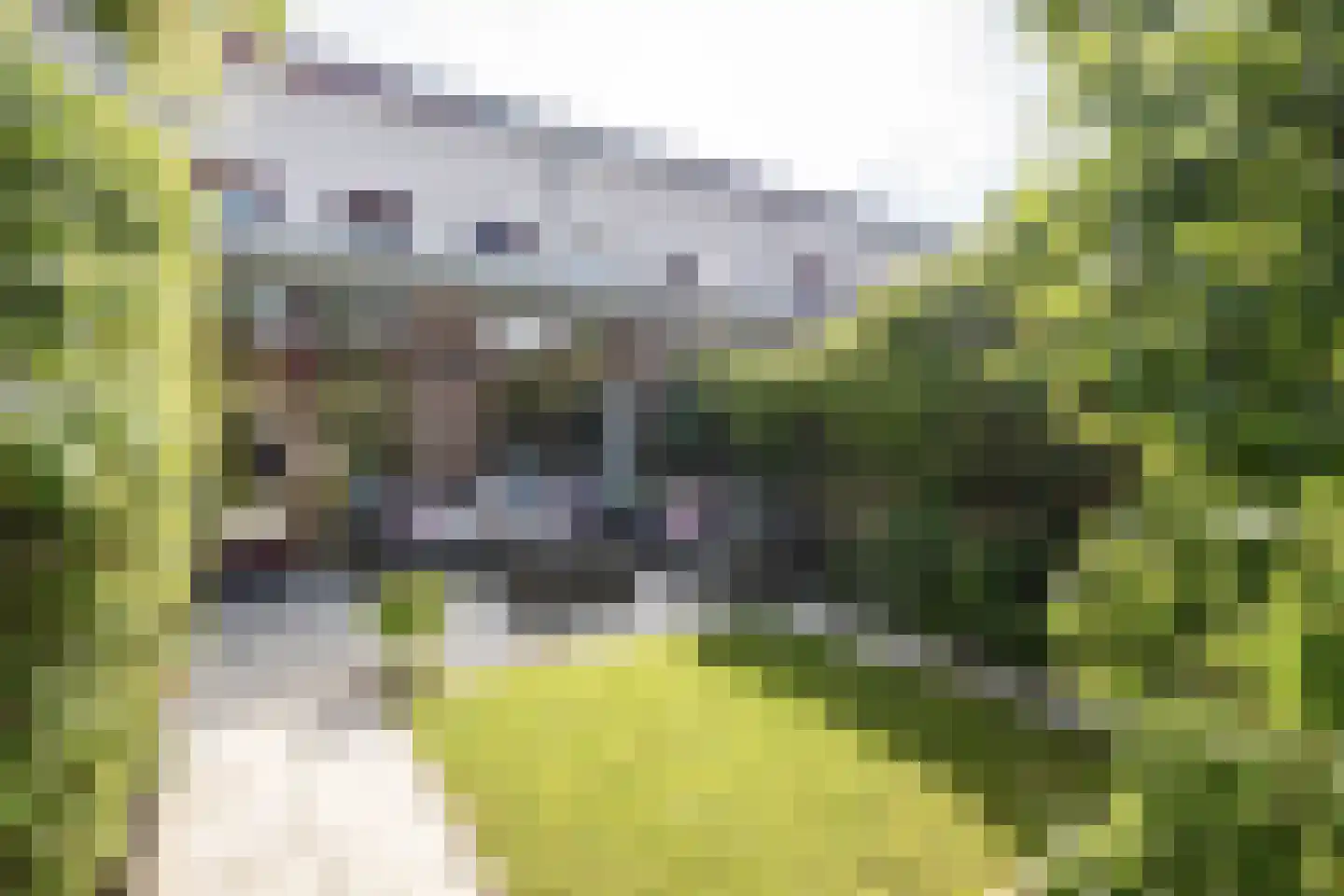 Dijkgraaf 22 Alphen aan den Rijn thumbnail 20