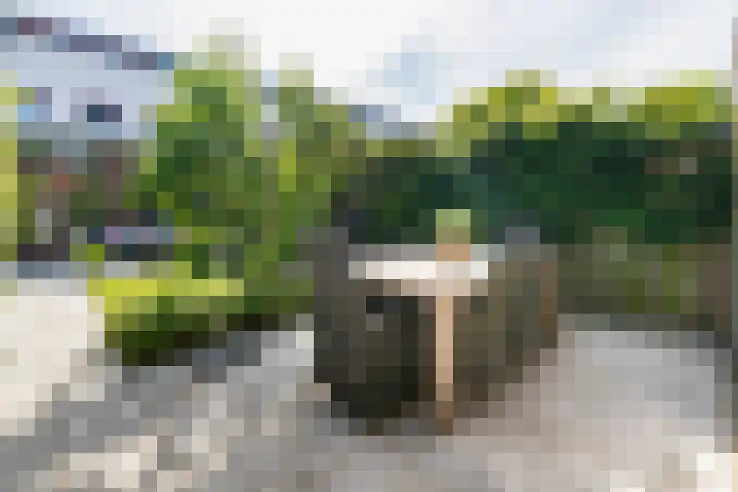 Dijkgraaf 22 Alphen aan den Rijn thumbnail 25