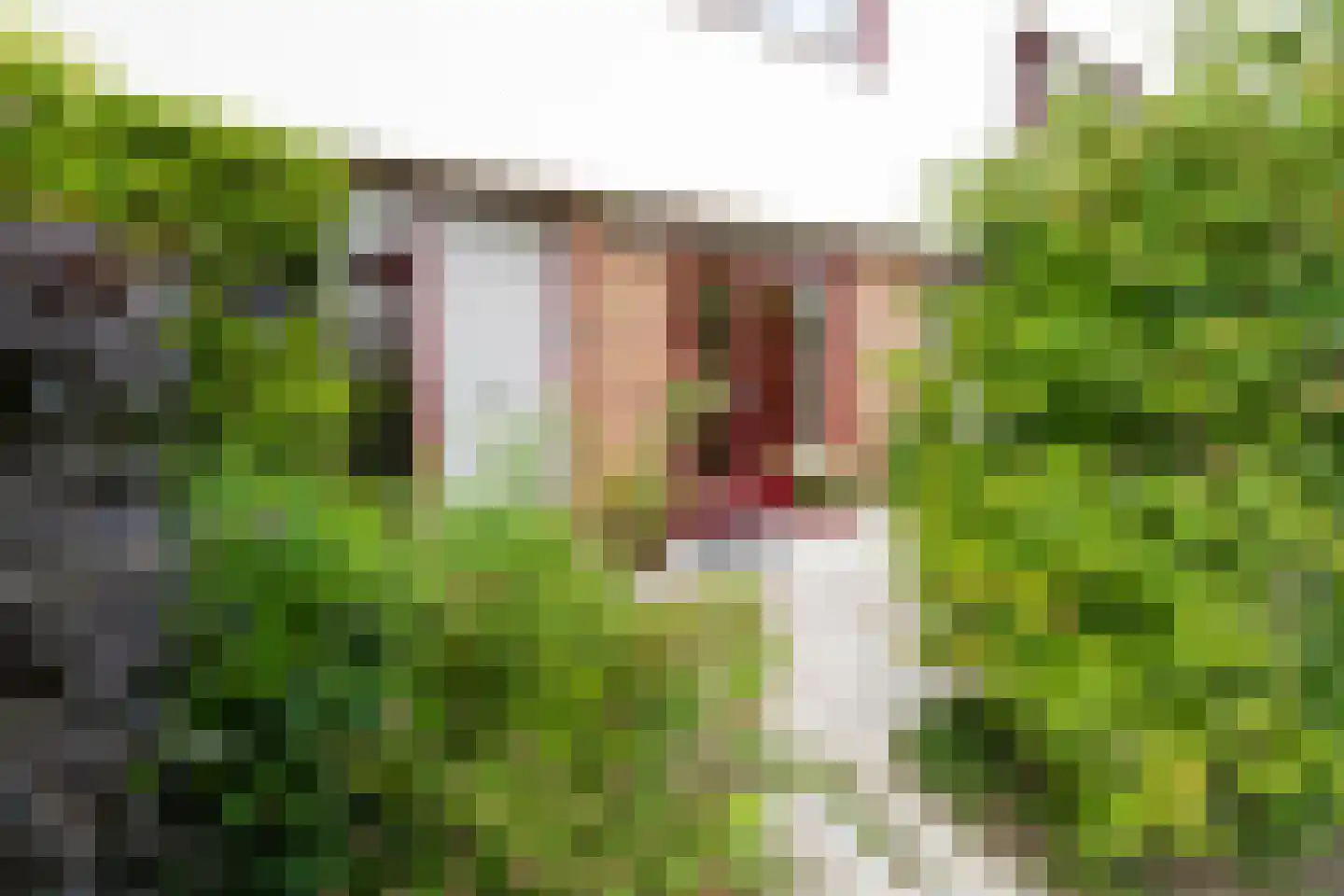 Dijkgraaf 22 Alphen aan den Rijn thumbnail 26