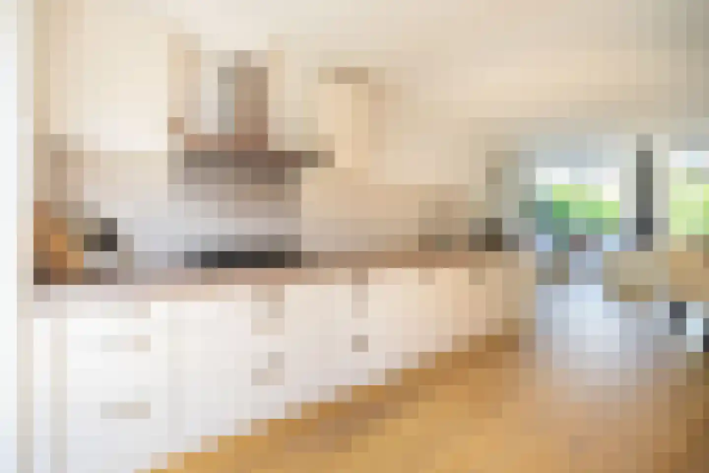 Dijkgraaf 22 Alphen aan den Rijn thumbnail 7