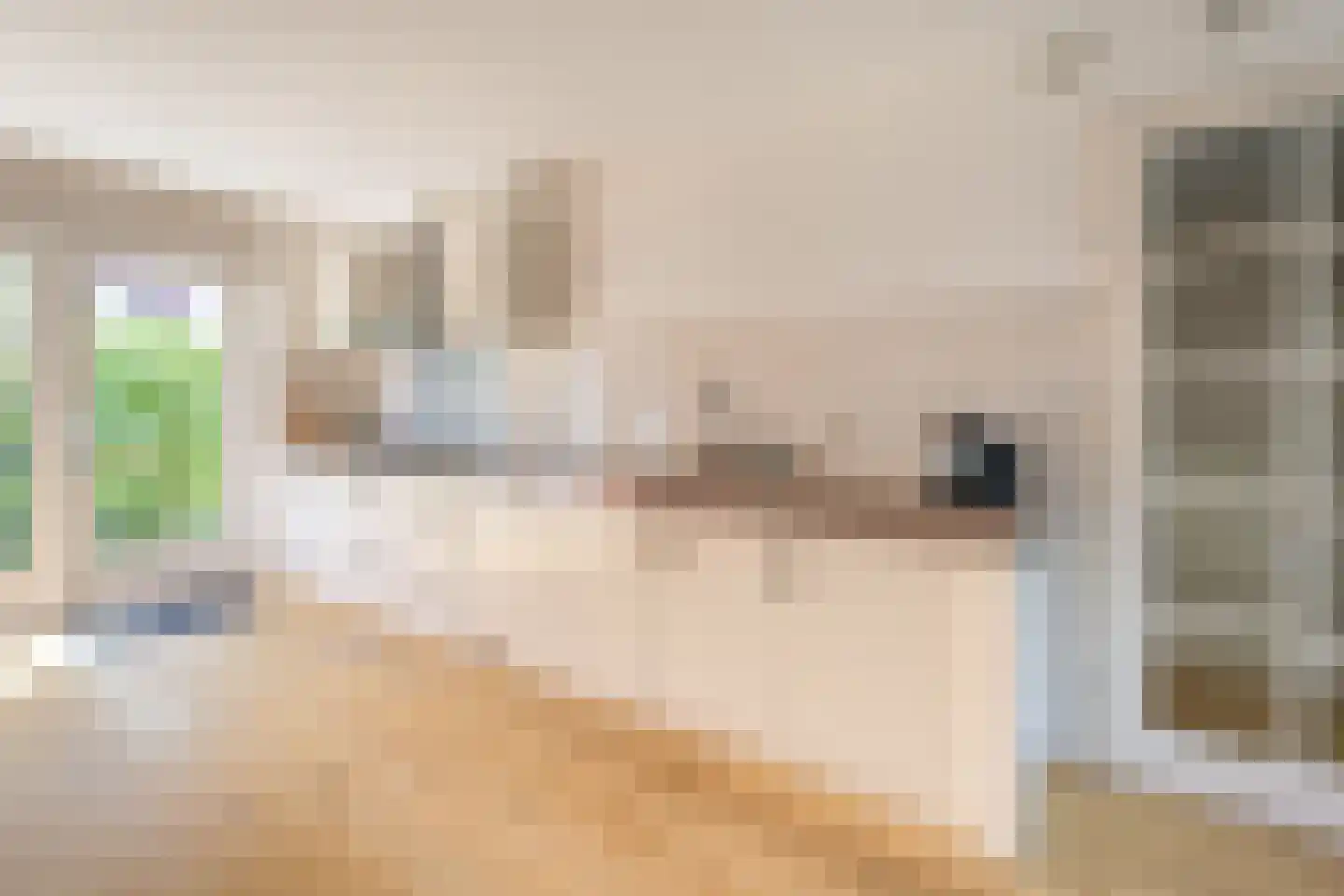Dijkgraaf 22 Alphen aan den Rijn thumbnail 8