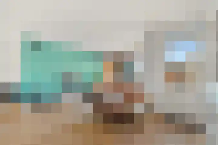 Dijkgraaf 26 Maasland thumbnail 11