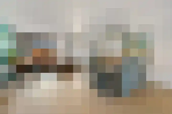 Dijkgraaf 26 Maasland thumbnail 13