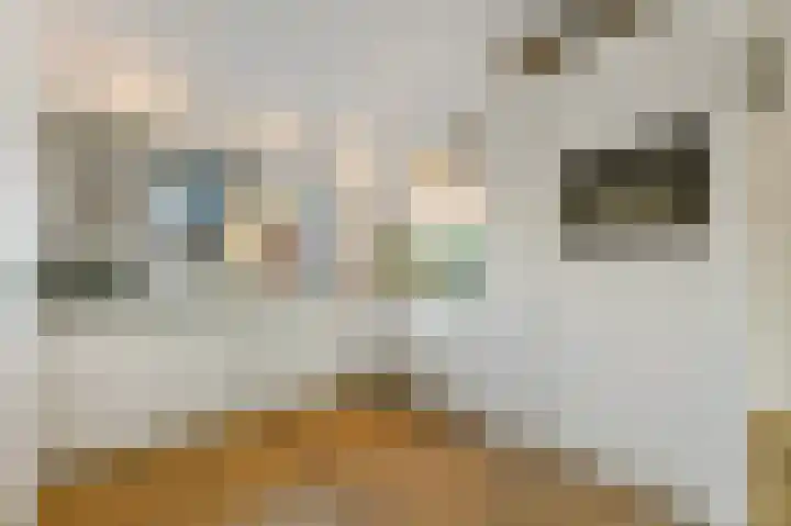 Dijkgraaf 26 Maasland thumbnail 14