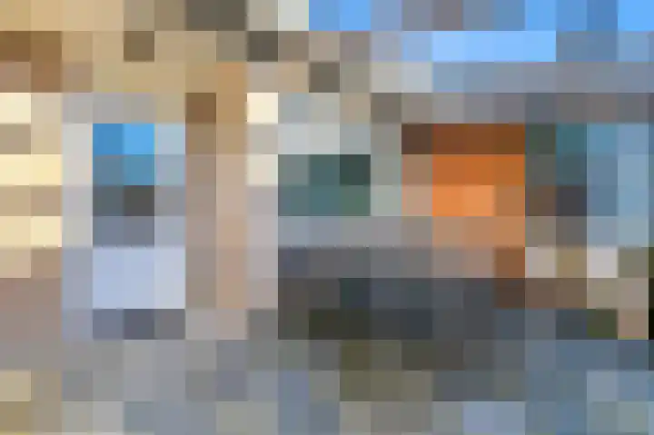 Dijkgraaf 26 Maasland thumbnail 17