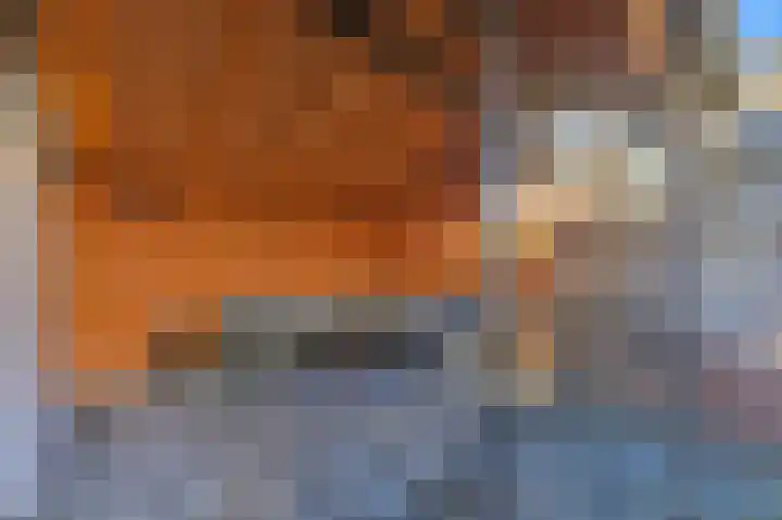 Dijkgraaf 26 Maasland thumbnail 20