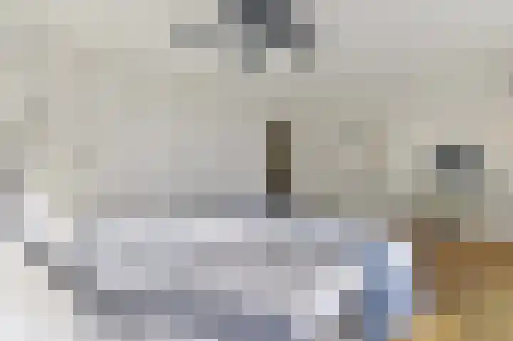 Dijkgraaf 26 Maasland thumbnail 25
