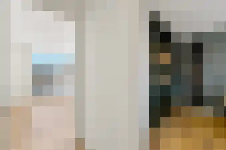 Dijkgraaf 26 Maasland thumbnail 27