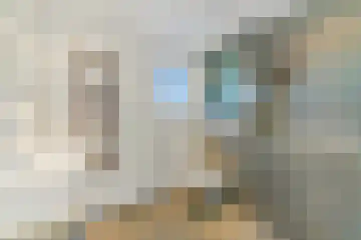 Dijkgraaf 26 Maasland thumbnail 28