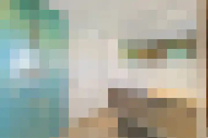 Dijkgraaf 26 Maasland thumbnail 29