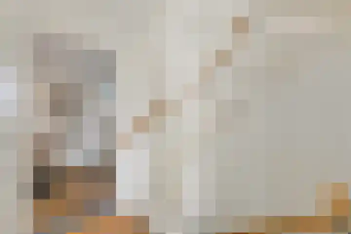 Dijkgraaf 26 Maasland thumbnail 30