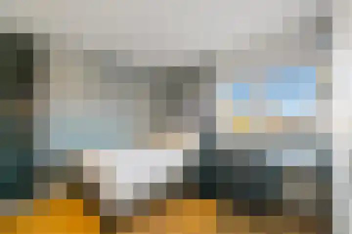Dijkgraaf 26 Maasland thumbnail 31