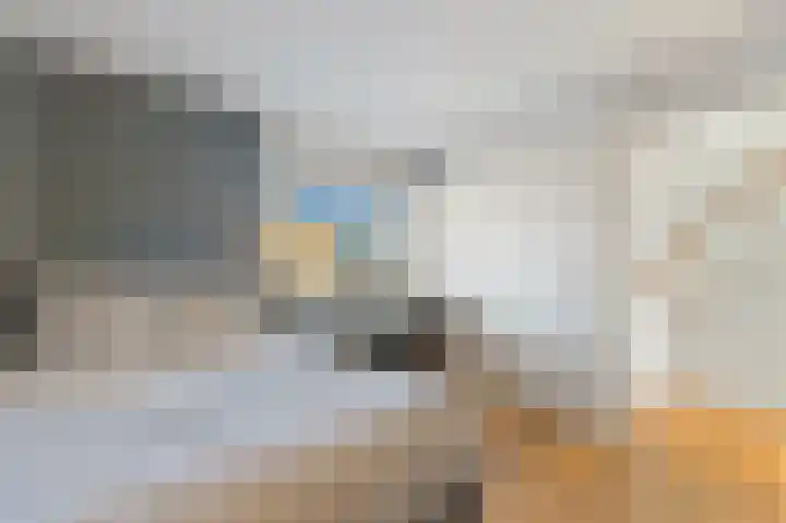 Dijkgraaf 26 Maasland thumbnail 33