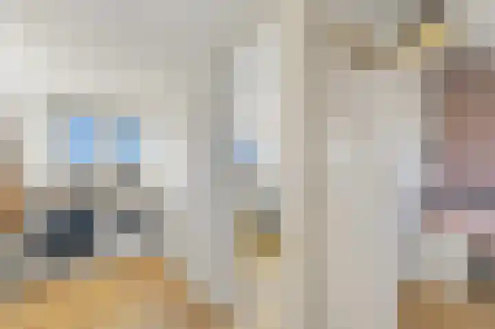 Dijkgraaf 26 Maasland thumbnail 36