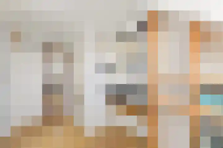 Dijkgraaf 26 Maasland thumbnail 37