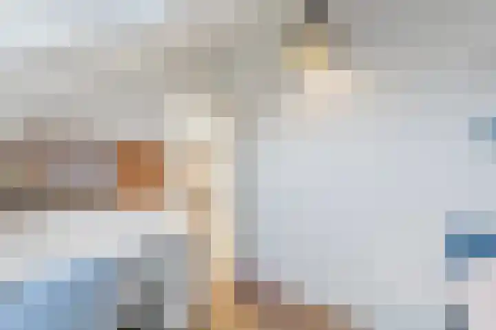 Dijkgraaf 26 Maasland thumbnail 39