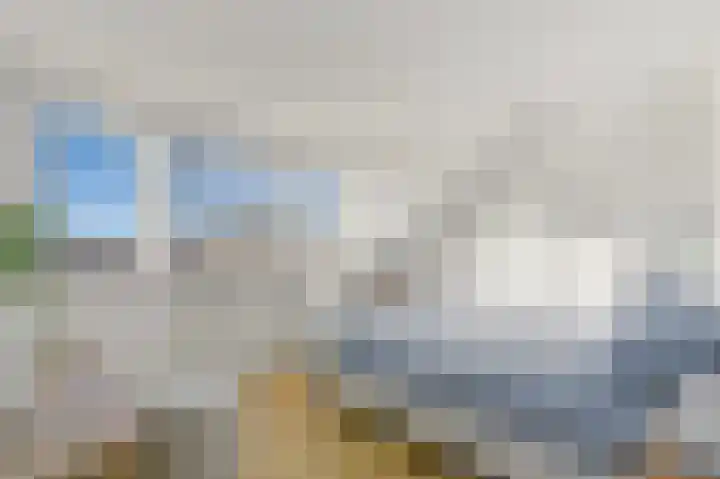 Dijkgraaf 26 Maasland thumbnail 40