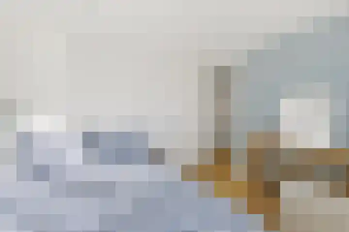 Dijkgraaf 26 Maasland thumbnail 41