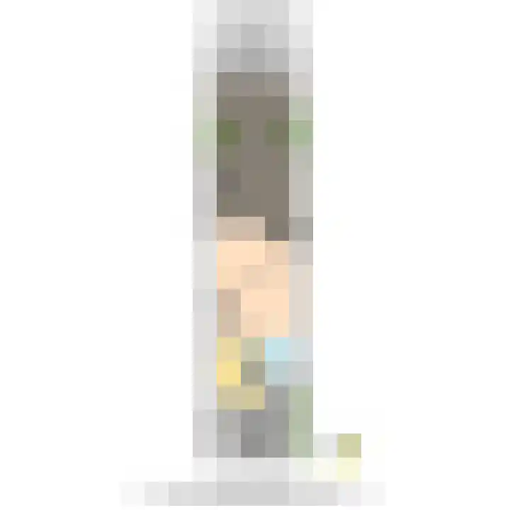 Dijkgraaf 26 Maasland thumbnail 44