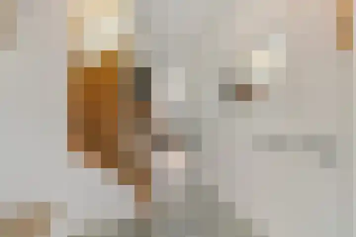 Dijkgraaf 26 Maasland thumbnail 8