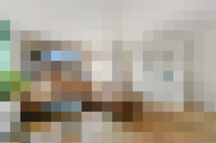 Dijkgraaf 26 Maasland thumbnail 9