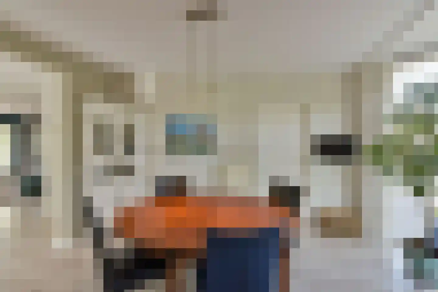 Dijkgraaf 3 Wilnis thumbnail 10