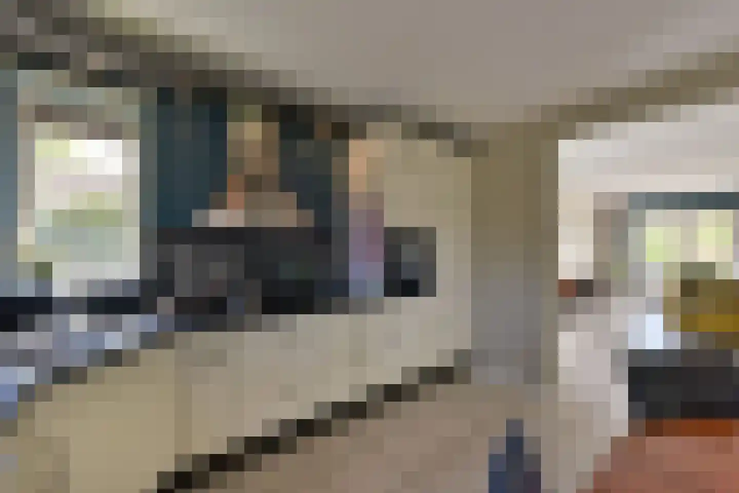 Dijkgraaf 3 Wilnis thumbnail 12