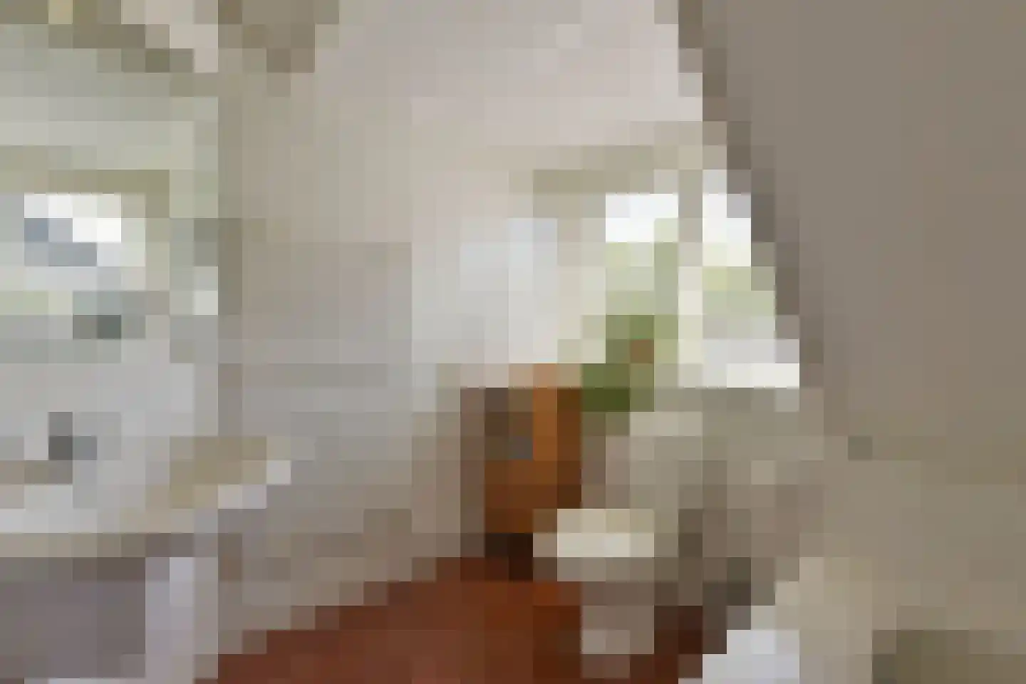 Dijkgraaf 3 Wilnis thumbnail 26