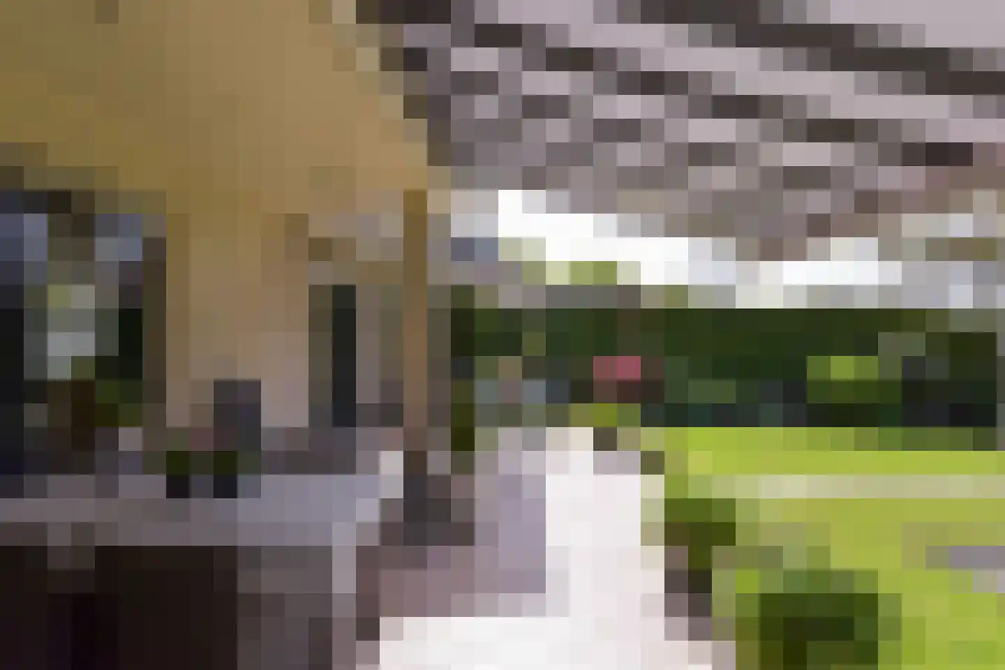 Dijkgraaf 3 Wilnis thumbnail 31