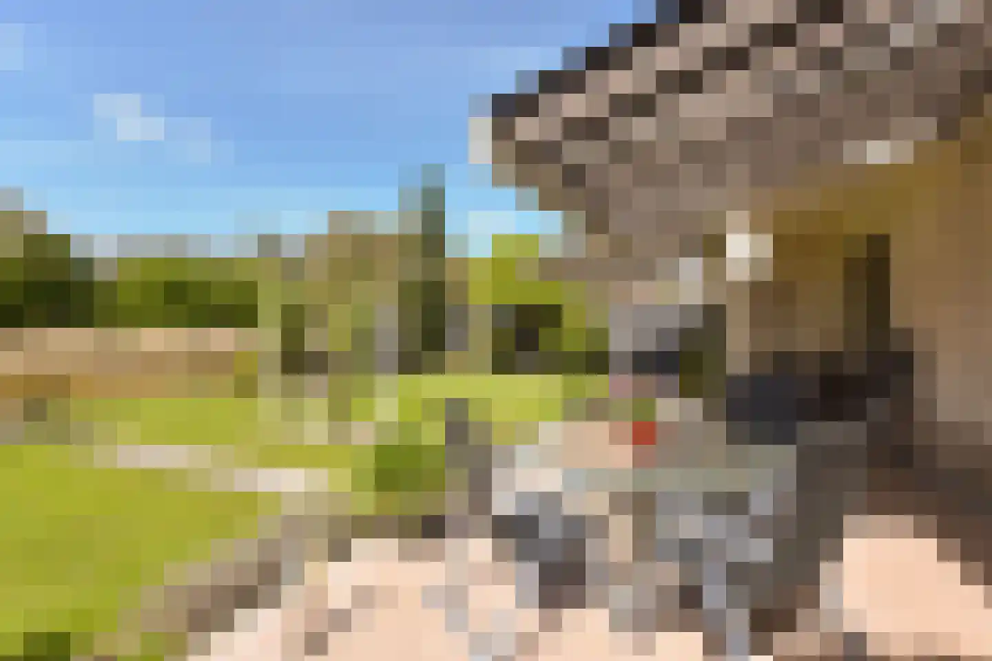 Dijkgraaf 3 Wilnis thumbnail 34