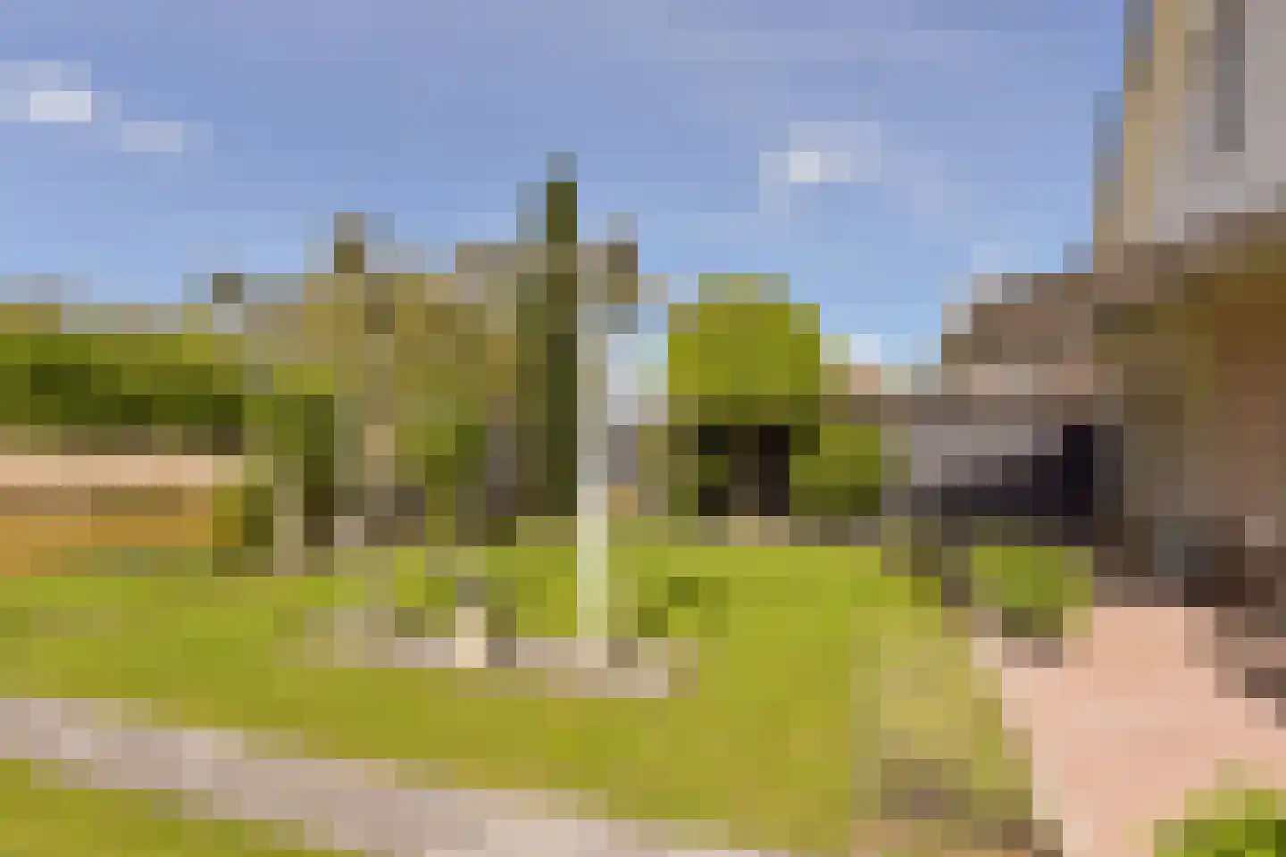 Dijkgraaf 3 Wilnis thumbnail 36
