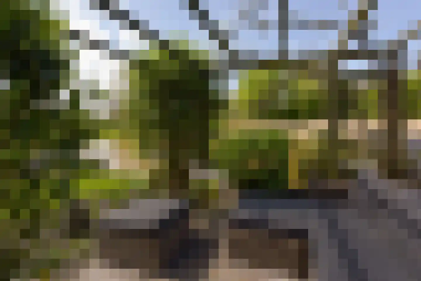 Dijkgraaf 3 Wilnis thumbnail 41