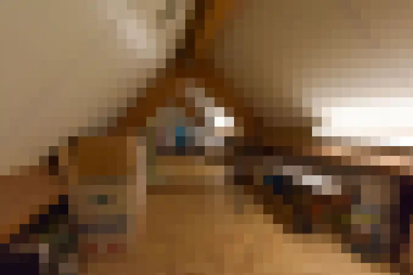 Dijkgraaf 3 Wilnis thumbnail 51