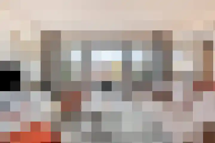 Dijkgraaf 30 Zierikzee thumbnail 14