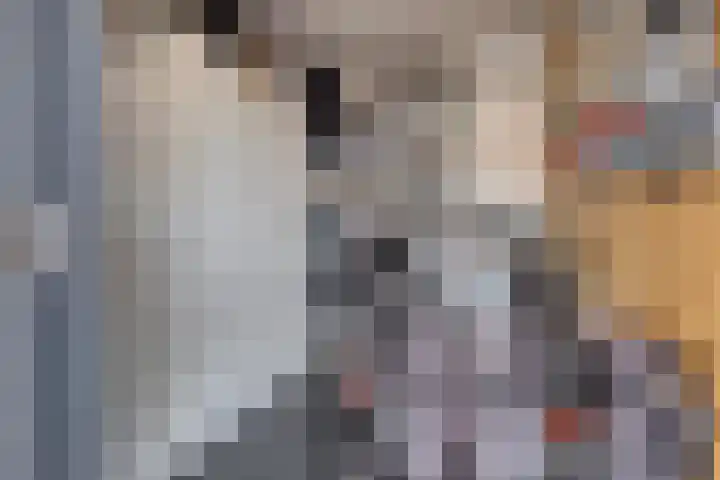 Dijkgraaf 30 Zierikzee thumbnail 35
