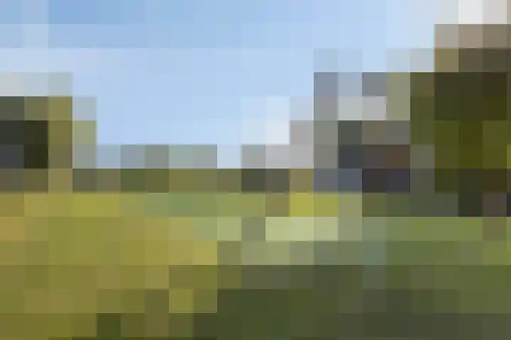 Dijkgraaf 30 Zierikzee thumbnail 38
